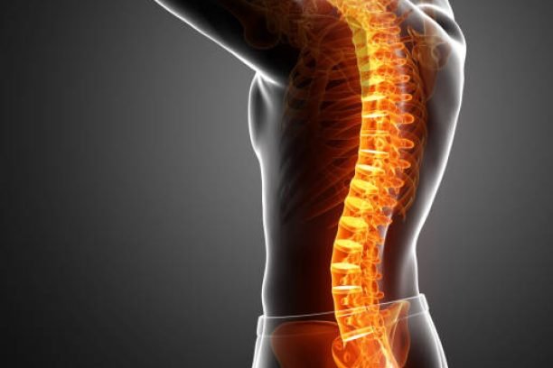 3D Illustration of male Feeling the back pain